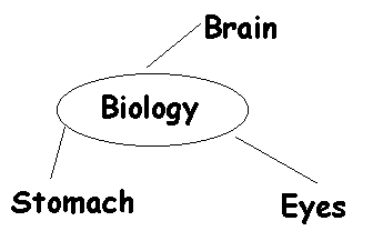 bio